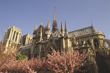 Frankreich, Paris, Kathedrale, Wahrzeichen, Notre Dame de Paris, Unsere Liebe Frau von Paris, Der Glöckner von Notre Dame