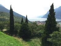 Italien, Oberitalienische Seen, Gardasee, Lago die Garda, Benaco, Landschaft, Zypressen