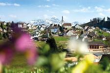 Schweiz, Appenzellerland, Landschaft, Natur, Berge, Pflanzen, Bäume, Stadt, Schnee, Gipfel