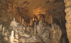 Slowenien, Postojna, Adelsberg, Höhle von Postojna, Adelsberger Grotten, Königin der Höhlenwelt, Höhlensystem, Stalagmiten, Stalaktiten