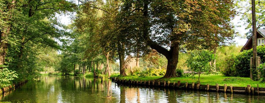 Deutschland, Brandenburg, Kulturlandschaft, Spreewald, Lübben, Dahme-Spreewald, Niederlausitz, Staatlich anerkannter Erholungsort, Landschaft